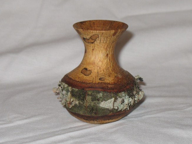 Small oak vessel with bark